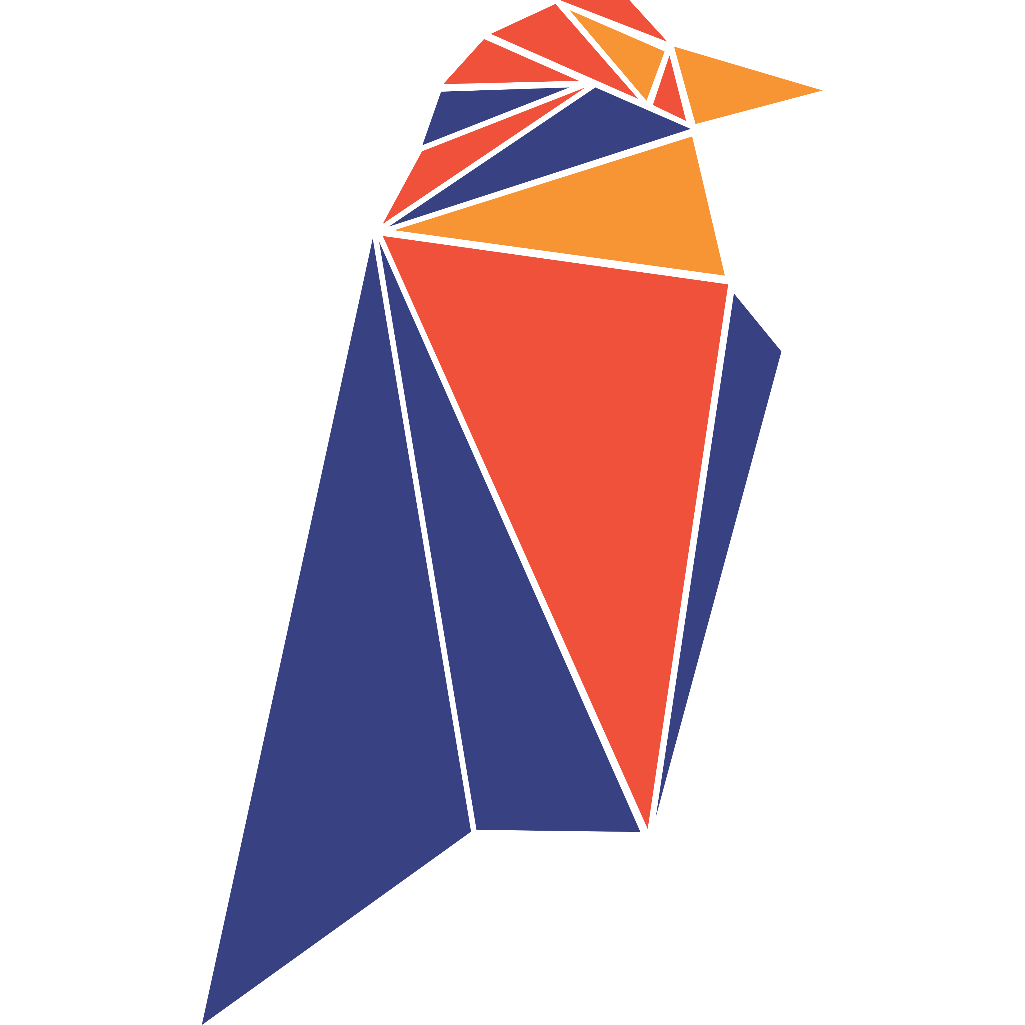 Ravencoin logo