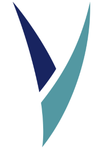 Vsync logo
